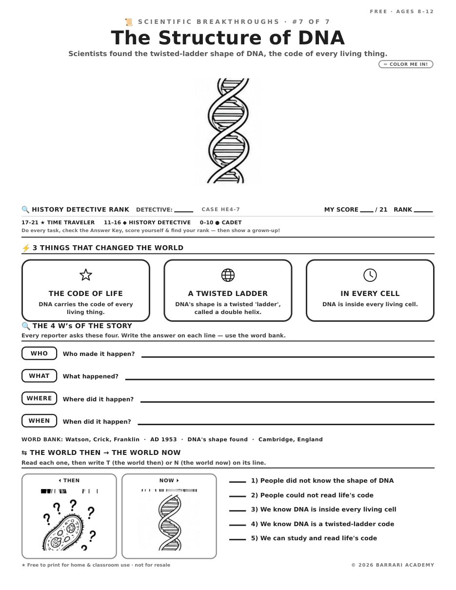 The free The Structure of DNA worksheet — fun facts and activities
