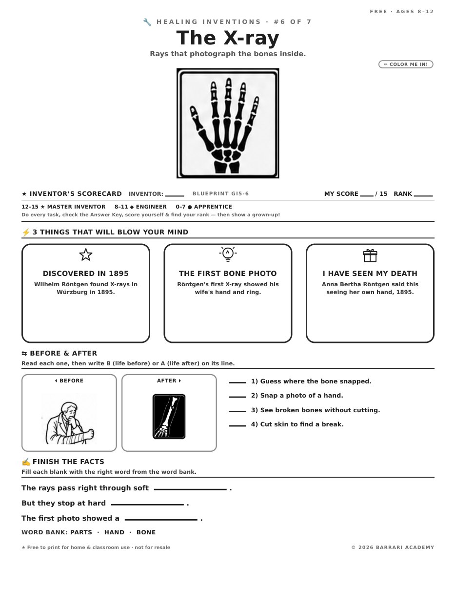 The free The X-ray worksheet — fun facts and activities